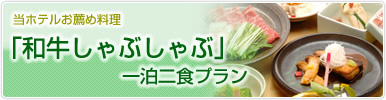 �a������Ԃ���Ԉꔑ��H�t�v����