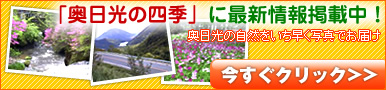 「奥日光の四季」に最新情報掲載中! 奥日光の自然をいち早く写真でお届け 今すぐクリック>>