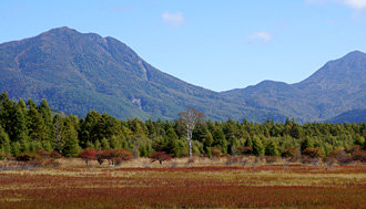 小田代原