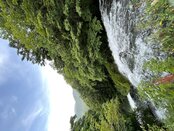 【見どころ情報】湯滝上部観瀑台からの眺め