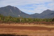 【自然情報】戦場ヶ原の風景　秋のはじまり