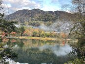 🍁 紅葉の季節が到来！ 🍁