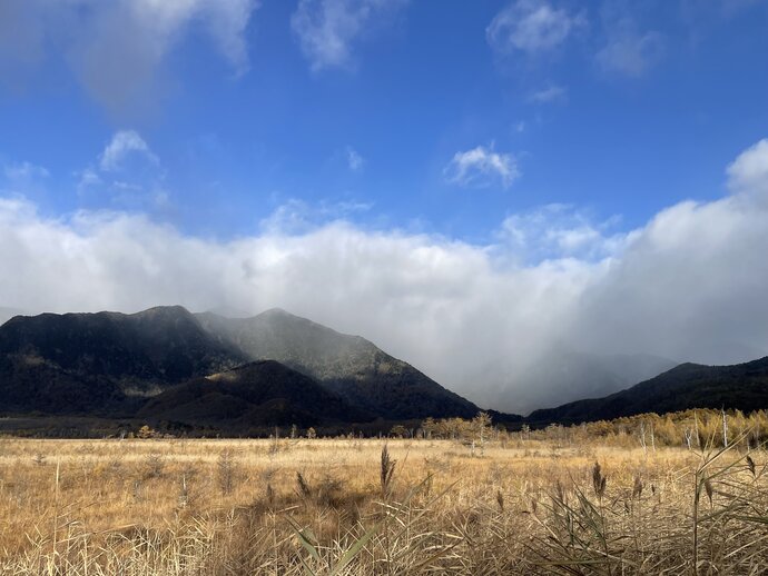 【自然情報】戦場ヶ原の風景