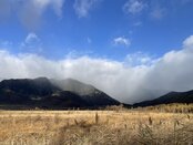 【自然情報】戦場ヶ原の風景 草紅葉