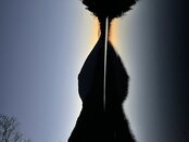 【自然⛄️情報】湯の湖展望台からの眺望🏔️景色はまるで絵画の様に美しい‼️