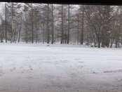 冬の準備はバッチリ？