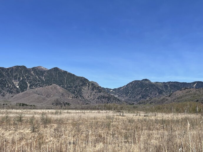 【自然情報】戦場ヶ原の風景