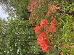 今日の奥日光