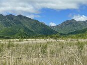 【自然情報】戦場ヶ原の風景