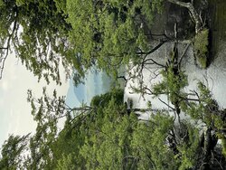 今日の奥日光