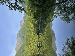 今日の奥日光