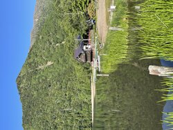 今日の奥日光