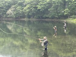 今日の奥日光