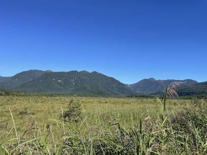 【自然情報】戦場ヶ原の風景